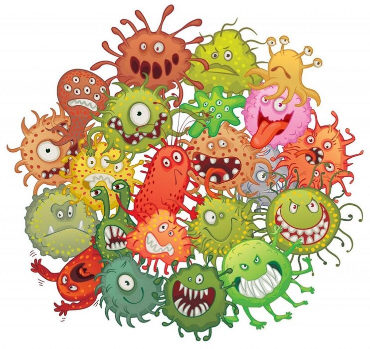microbi umani și viermi cum să eliminați
