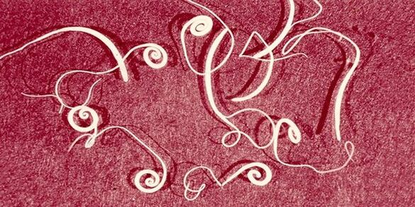 oxiuri din corpul uman