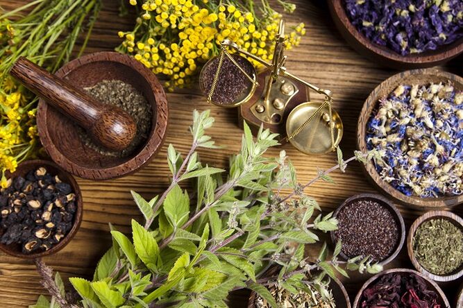 plante medicinale pentru a elimina paraziții din organism