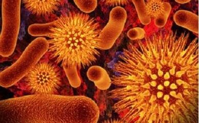 microorganisme parazite din corpul uman
